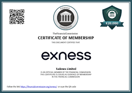 Easy Steps to Download Exness MT4 for Android